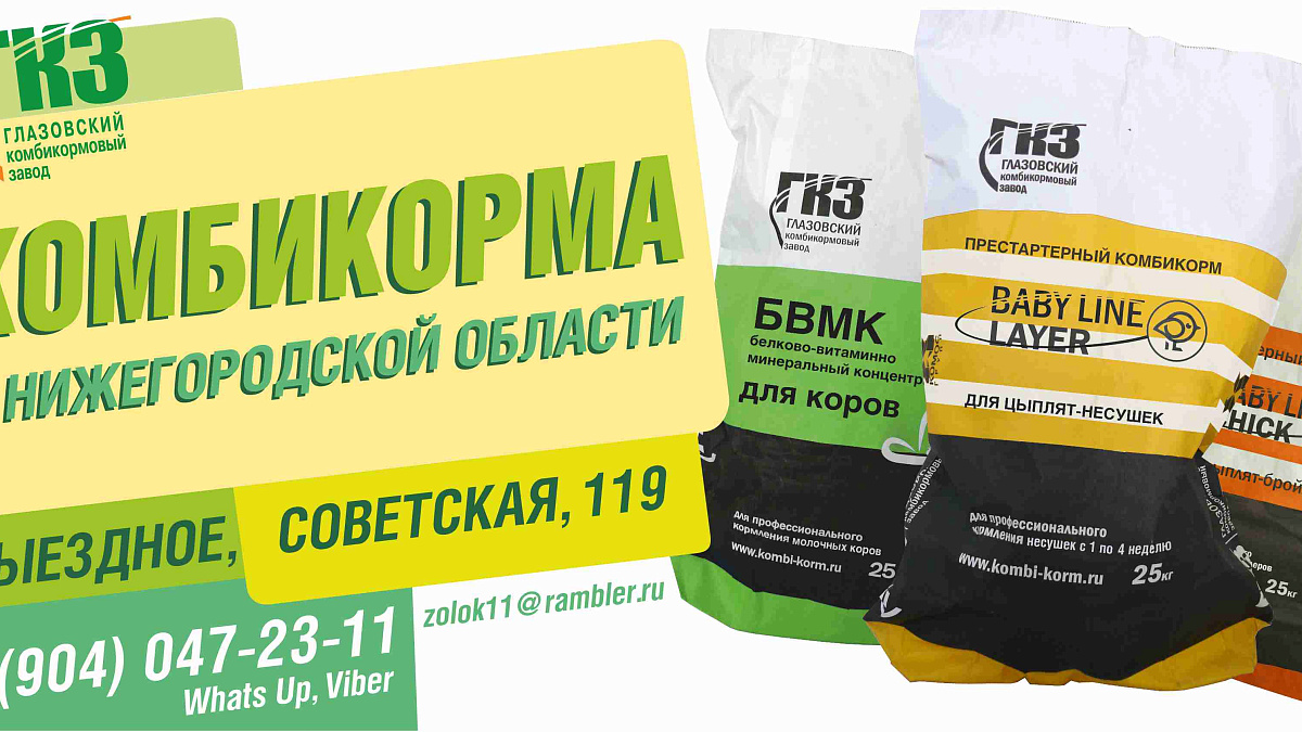Представитель в  Нижегородской области